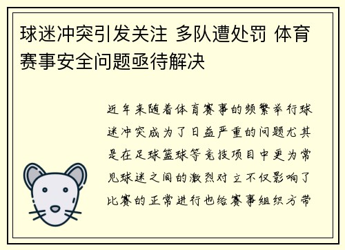 球迷冲突引发关注 多队遭处罚 体育赛事安全问题亟待解决